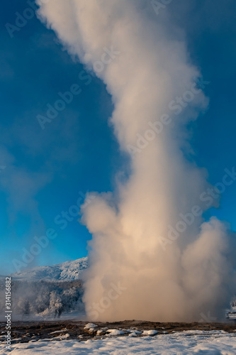 Strokkur geyser erupting in Geysir Geothermal hot spring in Iceland on a clear blue sky day in winter