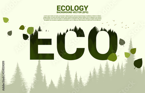 Natural forest inside ECO Text. background for take care and save the environment.