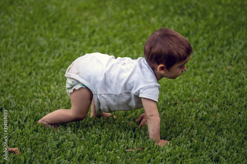 baby boy crawls on the lawn of the garden