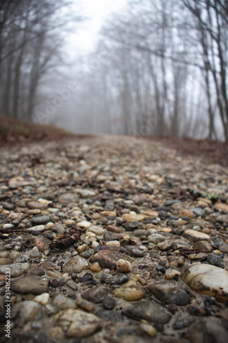 Pebbles stone background closeup.