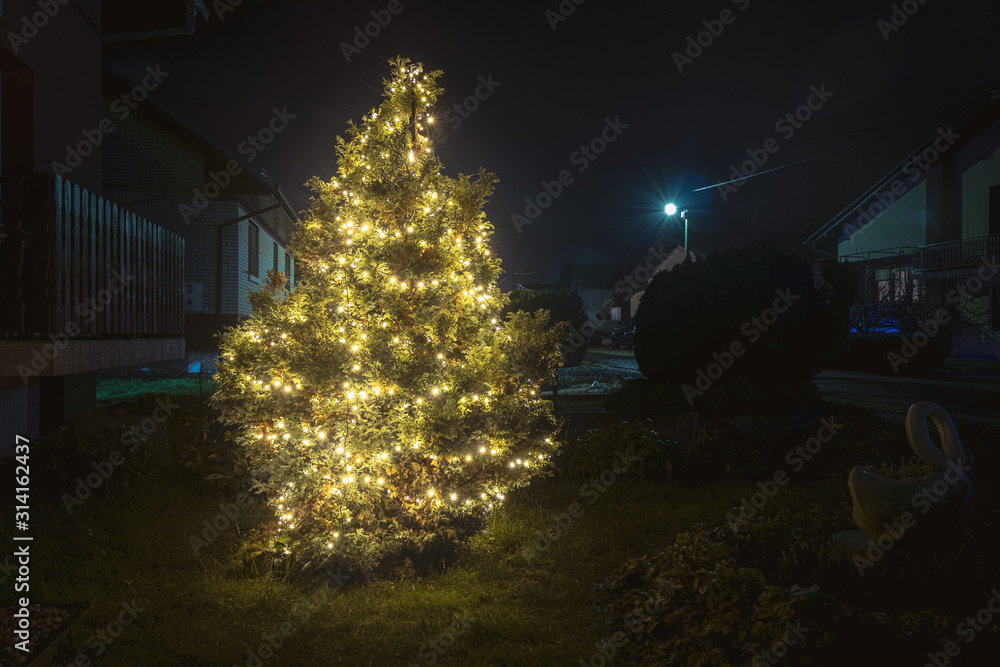 Outdoor christmass tree with yellow lights. Stock Photo Adobe Stock