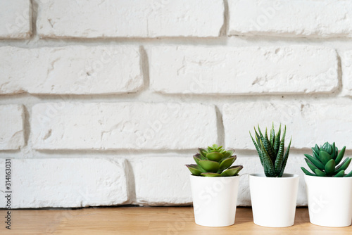Green succulent plants in a pot on a wooden table with white brick wall background with copy space.