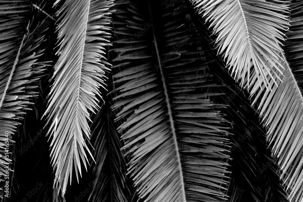 Obraz premium abstract background