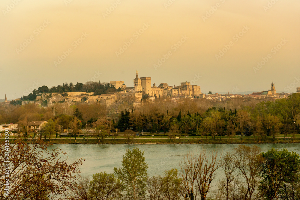 Sunset panorama of historic Avignon and Papal Palace on Rhone river, Provence, France