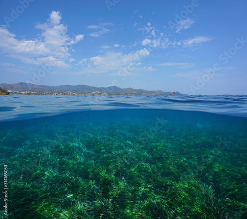 Mediterranean seascape, coastline with cloudy blue sky and seabed covered by Posidonia oceanica sea grass underwater, split view over and under water surface, Costa Brava, Catalonia