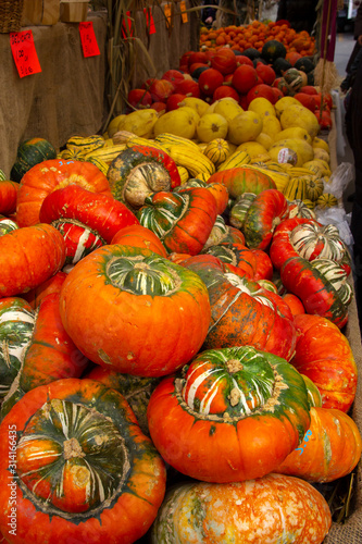 squash and pumpkin for sale
