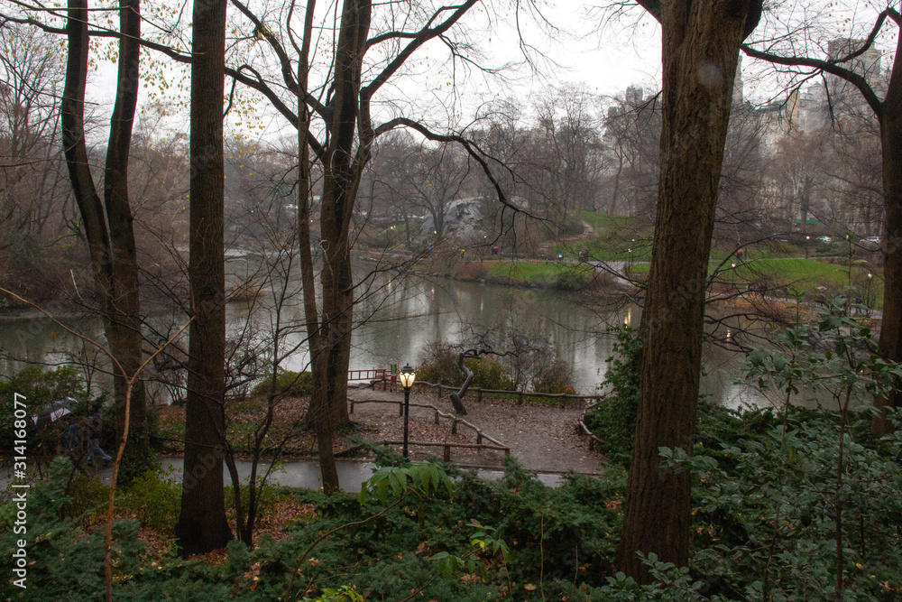 Obraz premium The Pond, Central Park, New York City