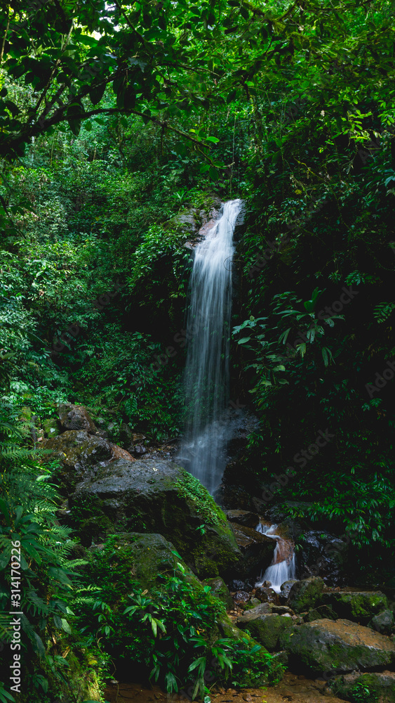 Fototapeta premium Pretty Panacam waterfall surrounded a lot of green forest