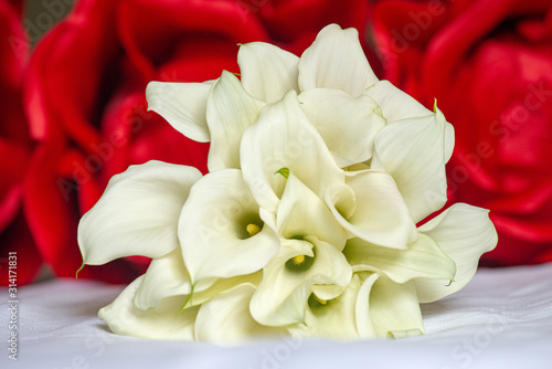 white calla Lilies bouquet with red roses background