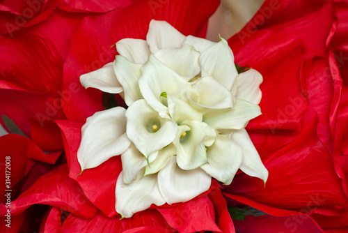 white calla Lilies bouquet with red roses background