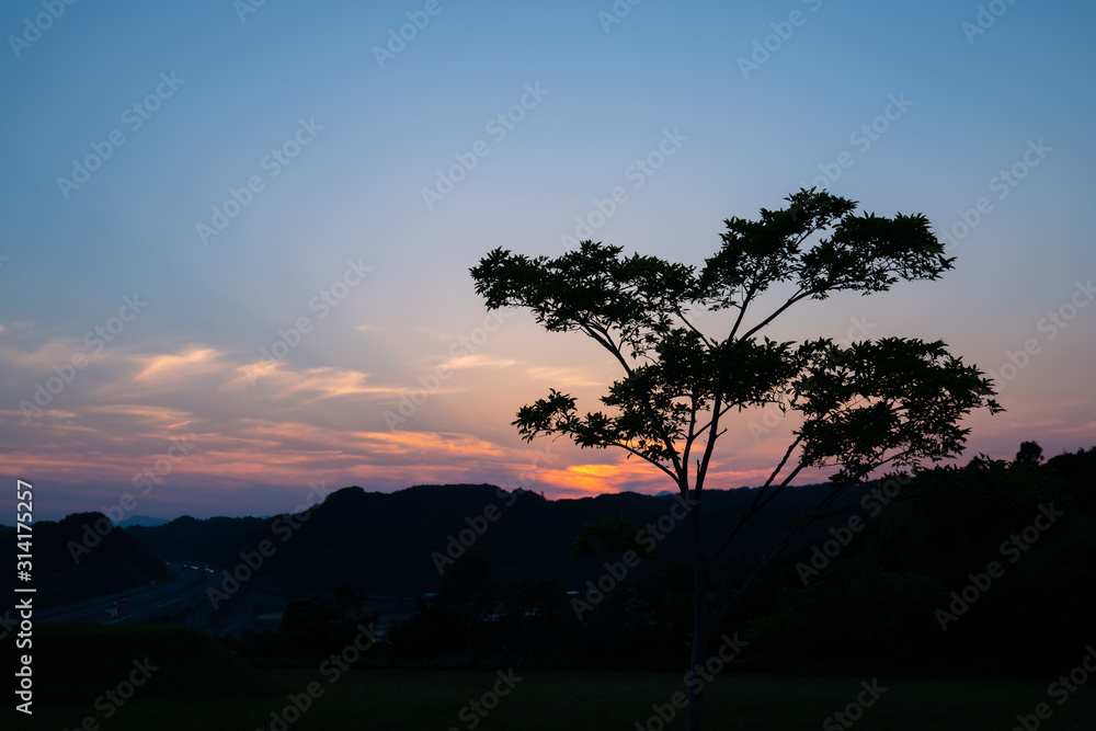 大地と夕焼け 大地と夕焼け