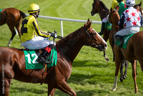 Fotografie Race horses and jockeys on the track before a race