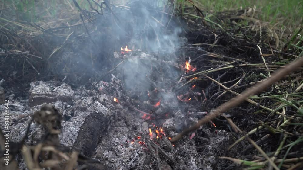 Hot fire burning wood branches with coal, glowing flame rising by moving burnt pile over ashes by a stick Hot fire burning wood branches with coal, glowing flame rising by moving burnt pile over ashes by a stick