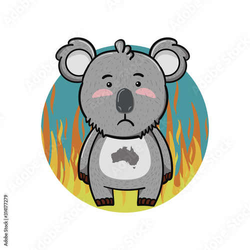 save koalas pray for australia fires 2020