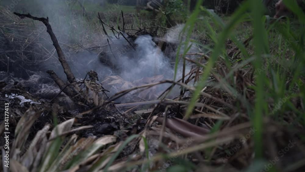 Throwing dry leaves over fireplace with hot coals and grey ashes making white smoke, surrounded by green grass Throwing dry leaves over fireplace with hot coals and grey ashes making white smoke, surrounded by green grass