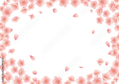 桜の花の背景素材