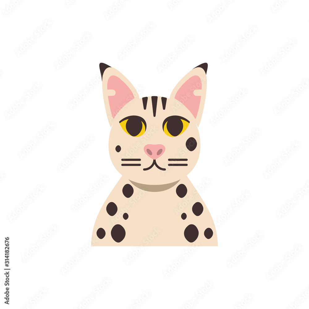 Fototapeta premium Cute white with black points cat cartoon vector design