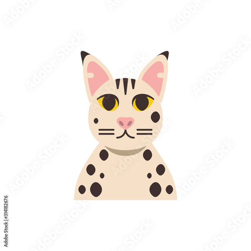 Cute white with black points cat cartoon vector design