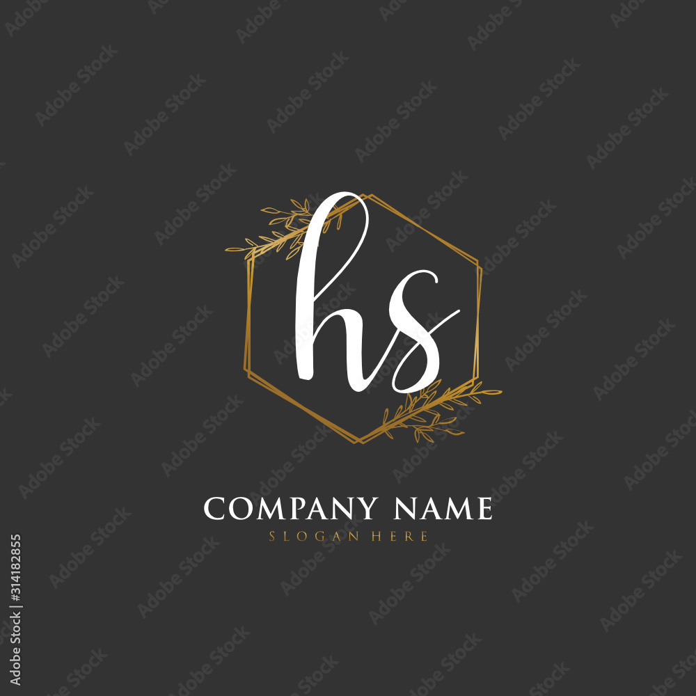 Handwritten initial letter H S HS for identity and logo. Vector logo template with handwriting and signature style. Handwritten initial letter H S HS for identity and logo. Vector logo template with handwriting and signature style.