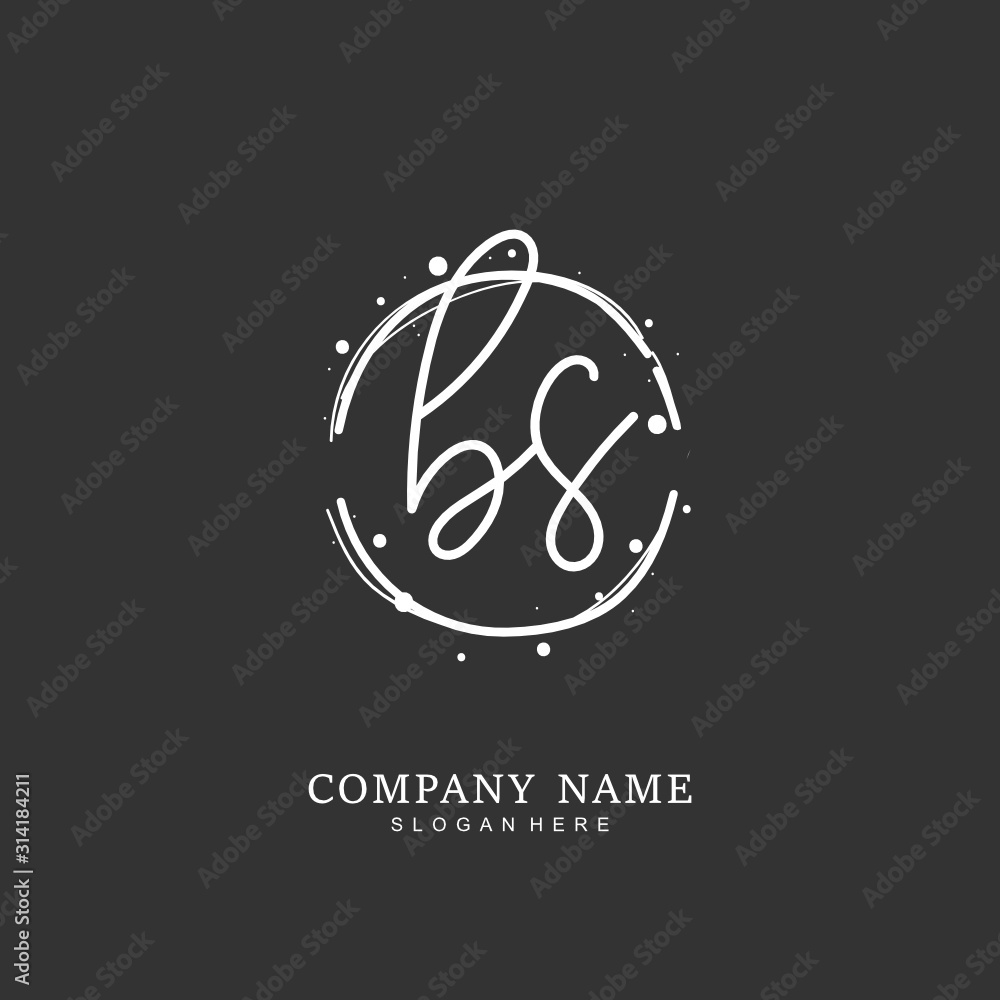 Handwritten initial letter B S BS for identity and logo. Vector logo template with handwriting and signature style. Handwritten initial letter B S BS for identity and logo. Vector logo template with handwriting and signature style.