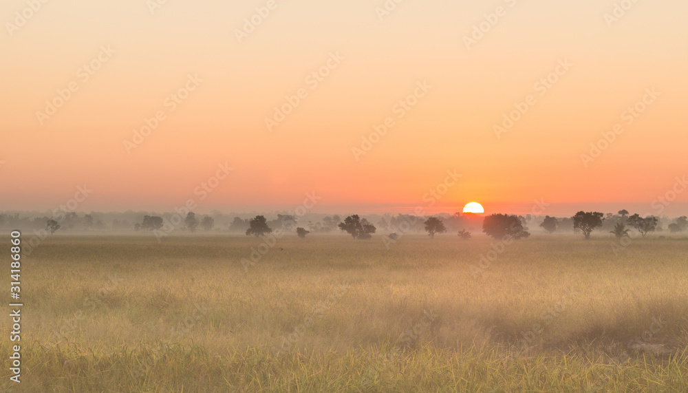 field and sunrise with mist background