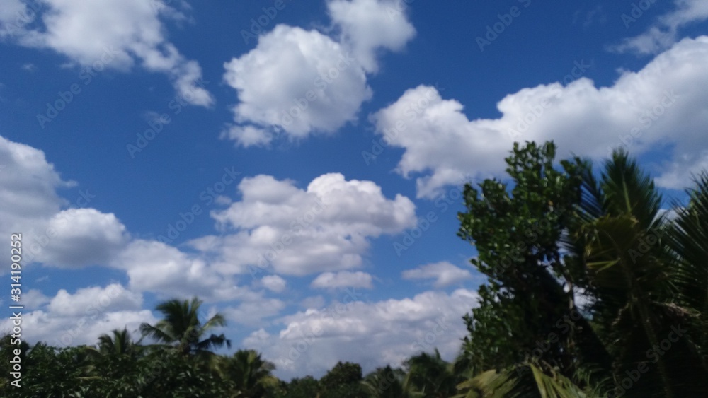 Obraz premium SKY, CLEAR SKY 