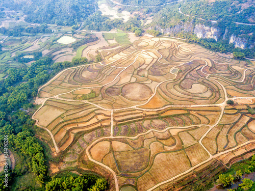 Fotografie the fields in Chongzuo