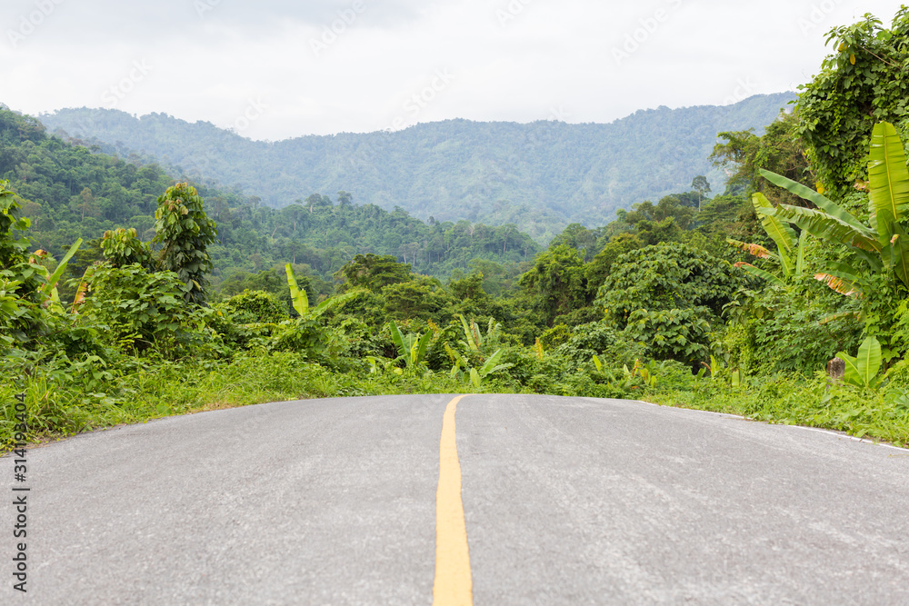 Empty Road In Jungle On Background For Nature