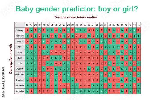 Baby gender predictor. Boy or girl. Waiting baby.