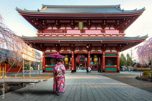 Young asian woman wearing Kimono Japanese tradition dressed sightseeing at Sensoji temple gate with cherry blossom tree during spring season in morning at Asakusa district in Tokyo, Japan. photo