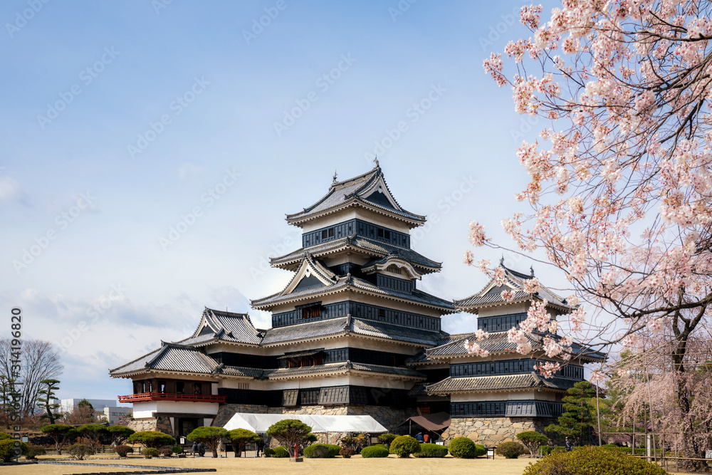 Matsumoto Castle during cherry blossom (Sakura) is one of the most famous sights in Matsumoto, Nagano, Japan. Japan tourism, history building, or tradition culture and travel concept Matsumoto Castle during cherry blossom (Sakura) is one of the most famous sights in Matsumoto, Nagano, Japan. Japan tourism, history building, or tradition culture and travel concept