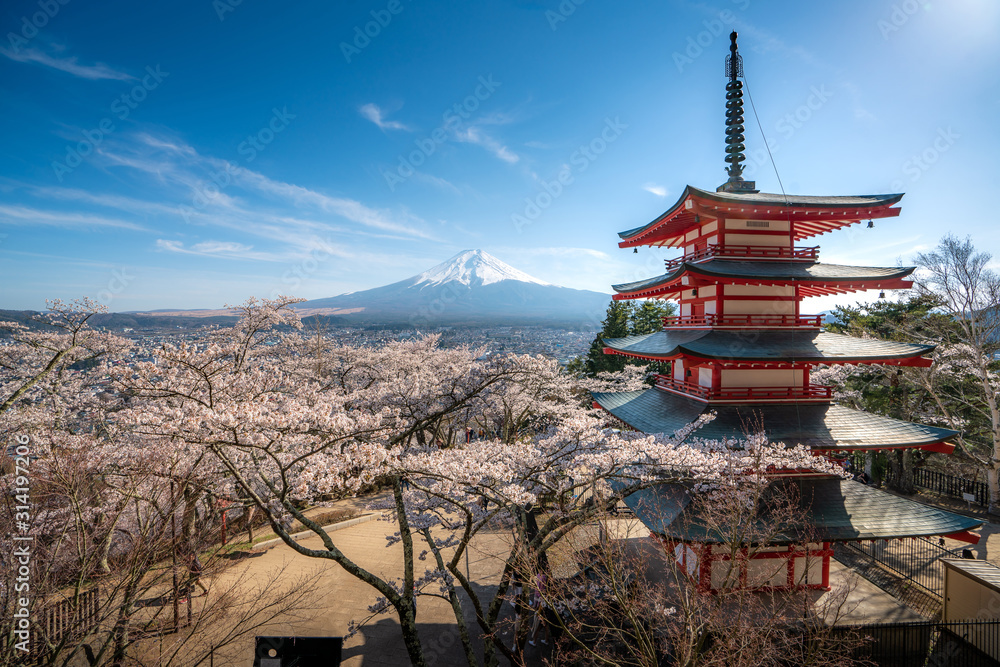 Fujiyoshida, Japan at Chureito Pagoda and Mt. Fuji in the spring with cherry blossoms full bloom during sunrise. Japan Landscape and nature travel, or historical building and sightseeing concept.