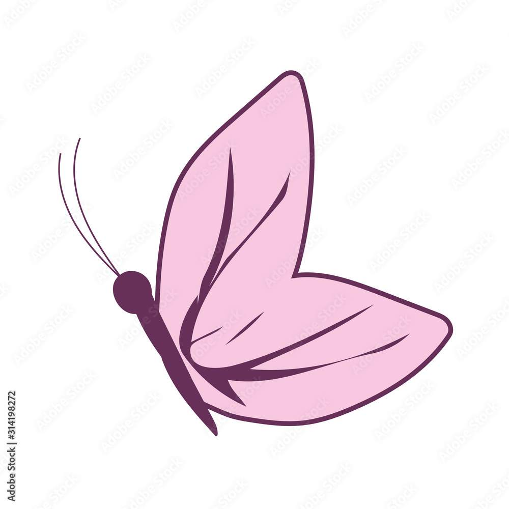 cute butterfly insect vector design cute butterfly insect vector design