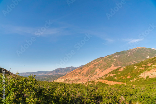 Mountain scenery with lush green trees on gentle slopes and peak on a sunny day
