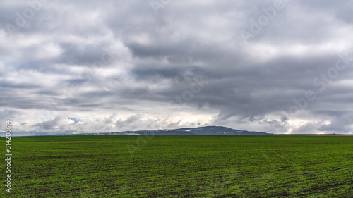 Plowed farm field with young green shoots