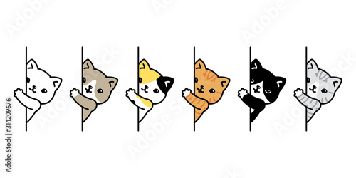 cat vector icon kitten breed calico logo symbol character cartoon doodle illustration design