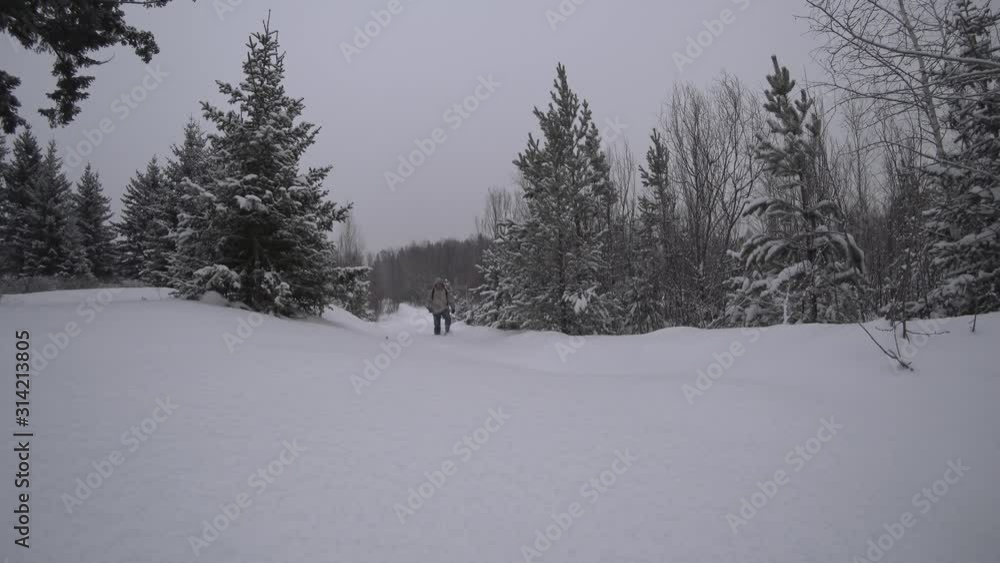 A middle-aged man is approaching in loose snow. Christmas trees with white snowdrifts winter. Hood, backpack. The concept of extreme travel, tourism, hiking. A middle-aged man is approaching in loose snow. Christmas trees with white snowdrifts winter. Hood, backpack. The concept of extreme travel, tourism, hiking.