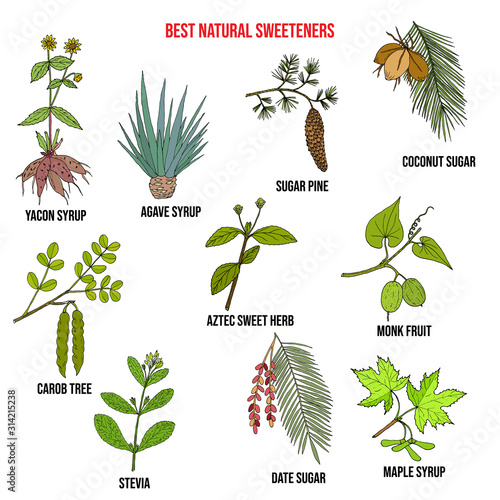 Best natural sweeteners photo