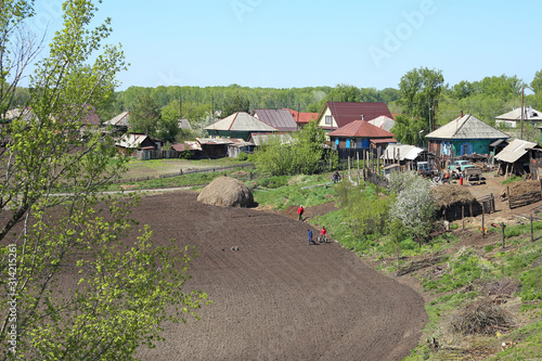 Rural gardens in the village of Srostki in the Altai territory of Russia