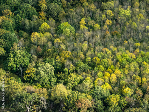 vue aérienne de la forêt à l'automne dans les Yvelines en France © Francois