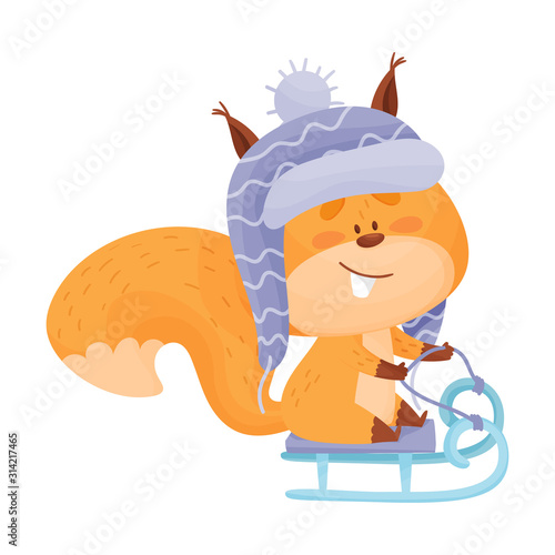 Squirrel Character Wearing Winter Hat and Sledging Vector Illustration