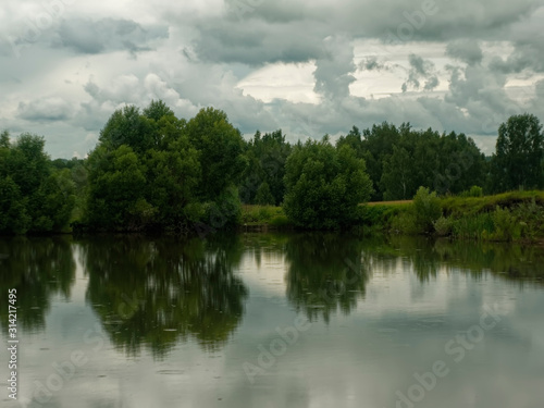 shore of a small pond in summer, Russia