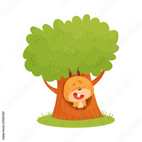 Cartoon Squirrel Animal Looking Out of Tree Hollow Vector Illustration