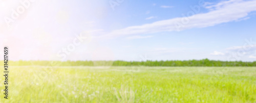 Photography Easter banner