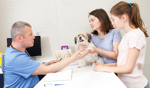 Принти на полотні Worried family with puppy at veterinarian clinic