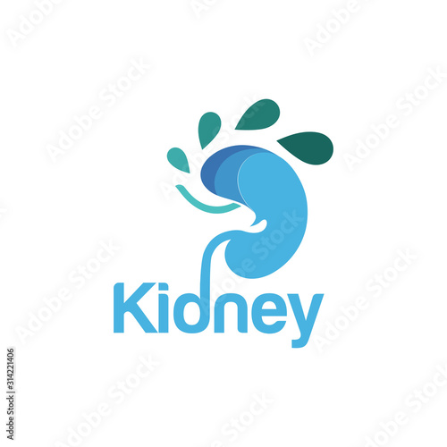 Kidney Logo Template Urology Logo Stock Vector