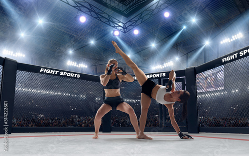 MMA female fighters on professional ring. © VIAR PRO studio