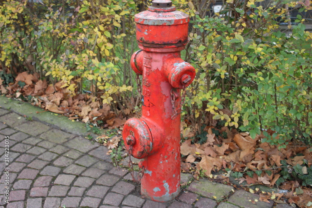 Alter Hydrant