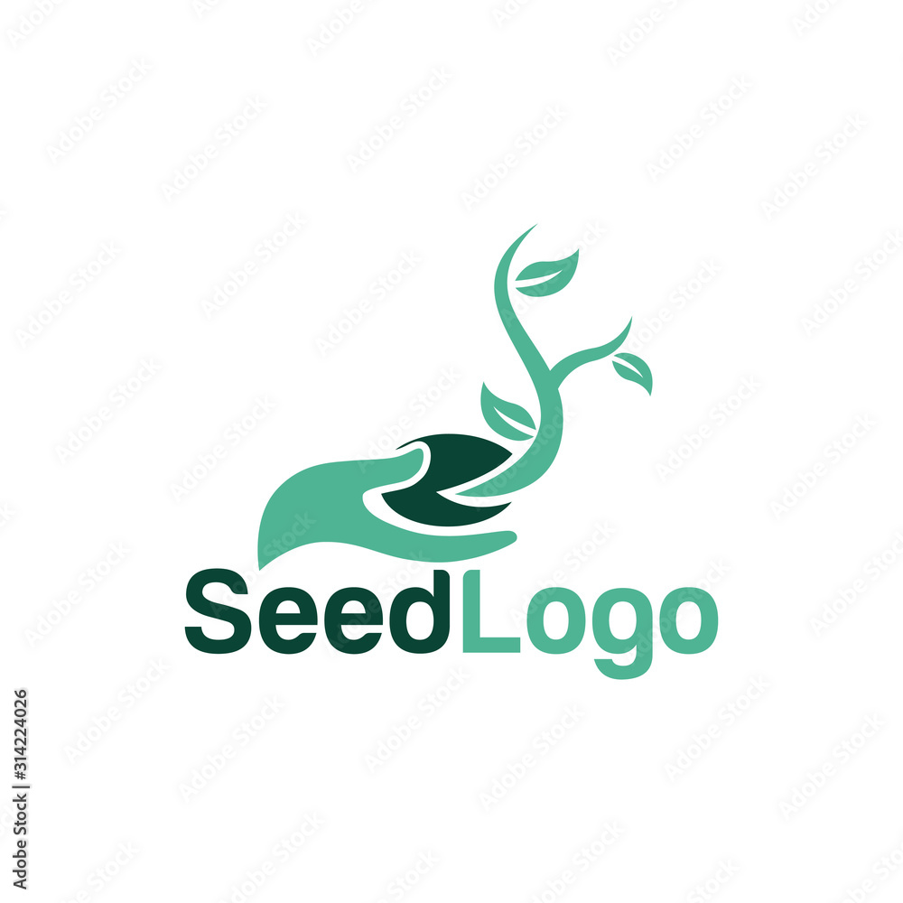 Fototapeta premium Growing Seed Logo Designs Vector Seed Stock Vector 