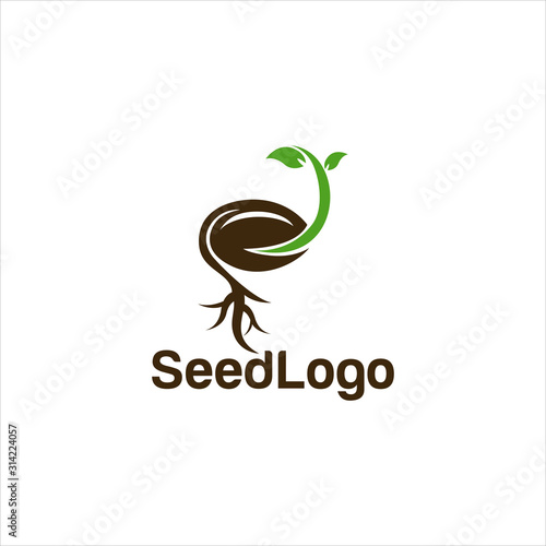 Growing Seed Logo Designs Vector Seed Stock Vector 